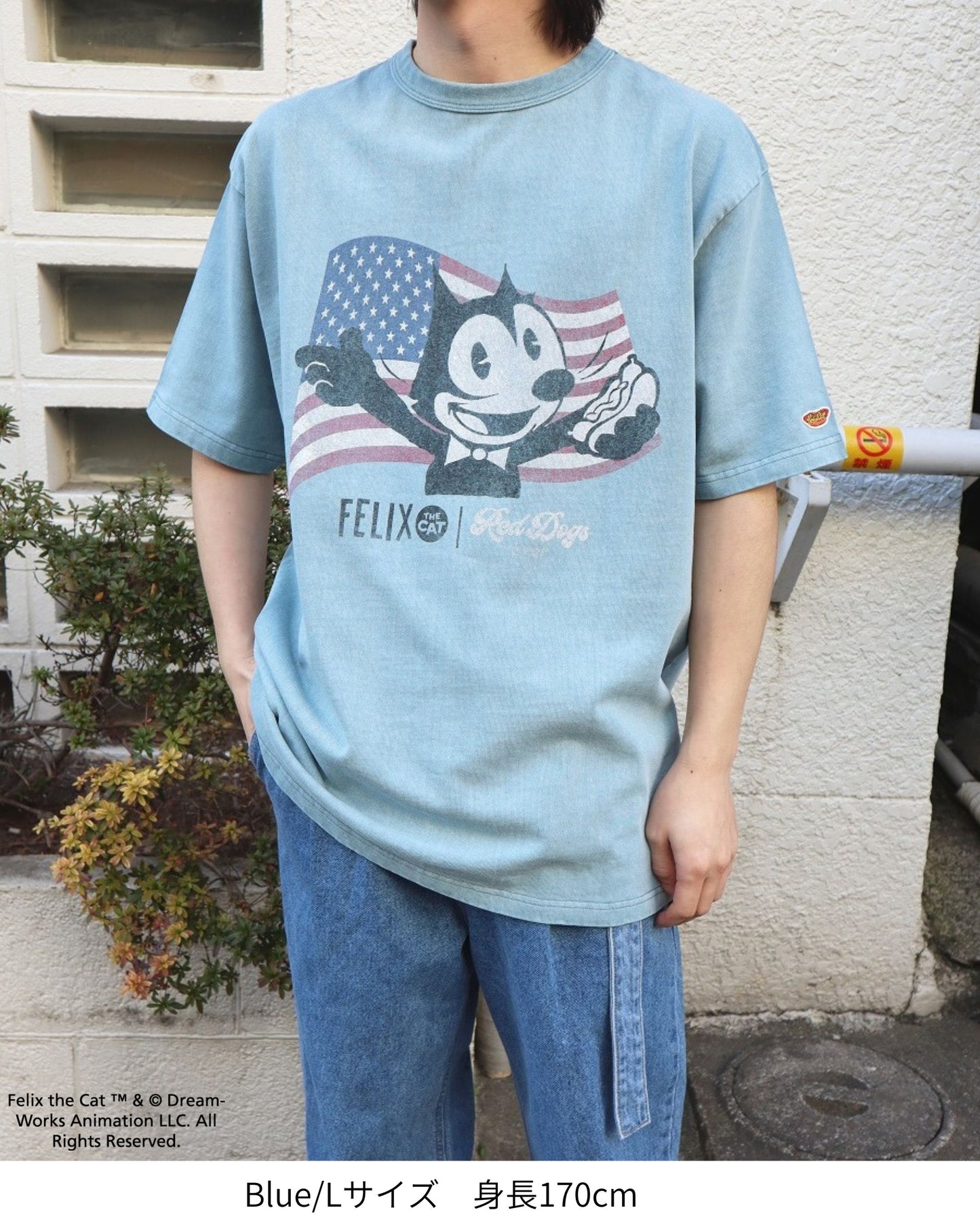 【RedDogs×FELIX THE CAT】 Flag T-shirt