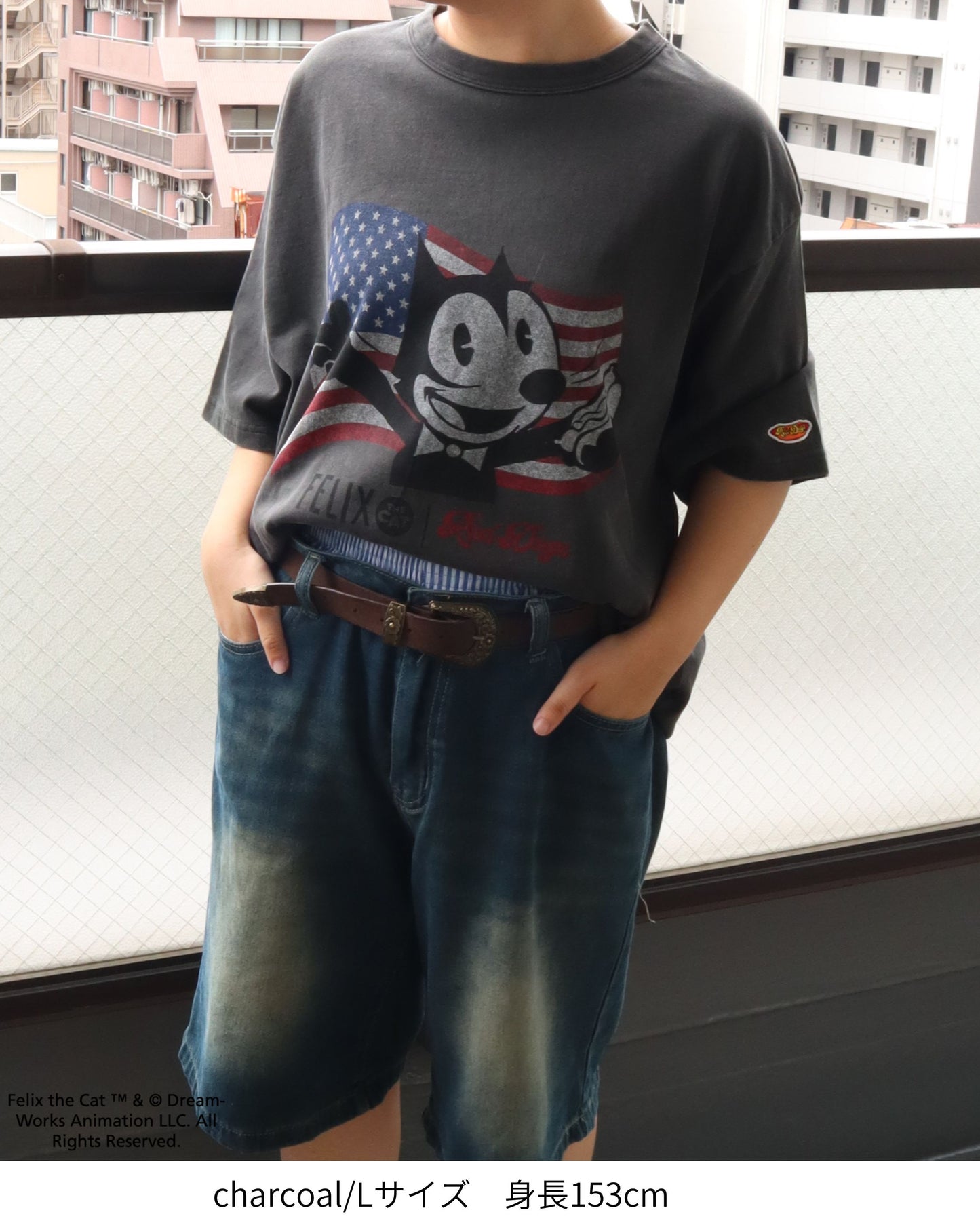 【RedDogs×FELIX THE CAT】 Flag T-shirt