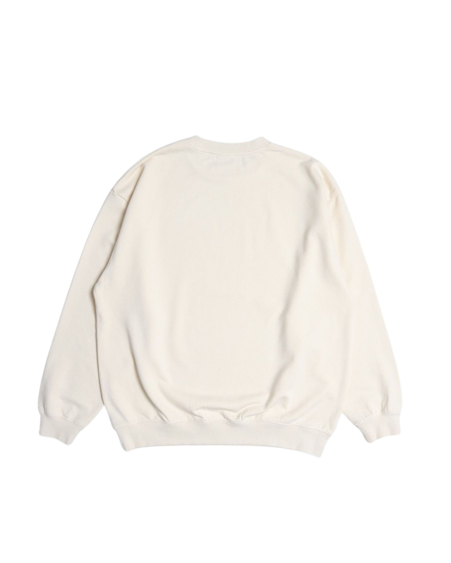 Faded Sneaker Sweatshirt