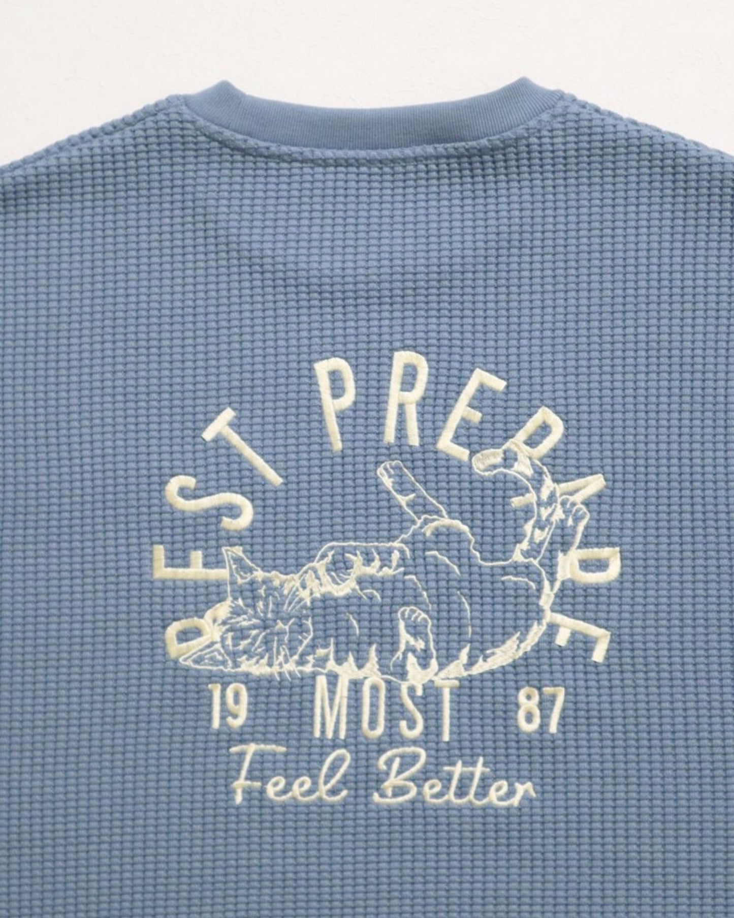 Cat Waffle Sweatshirt