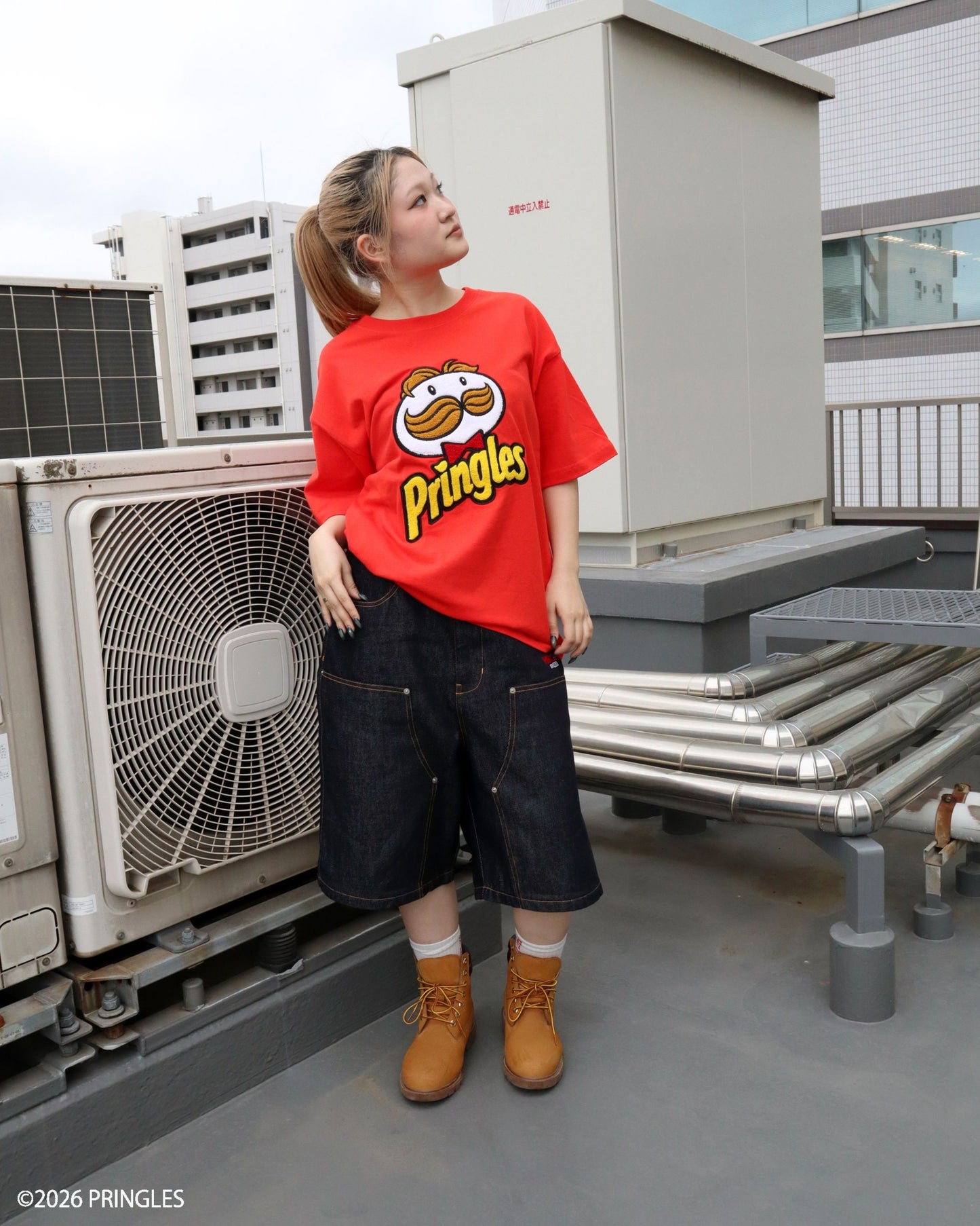 【PRINGLES】2009ロゴTシャツ