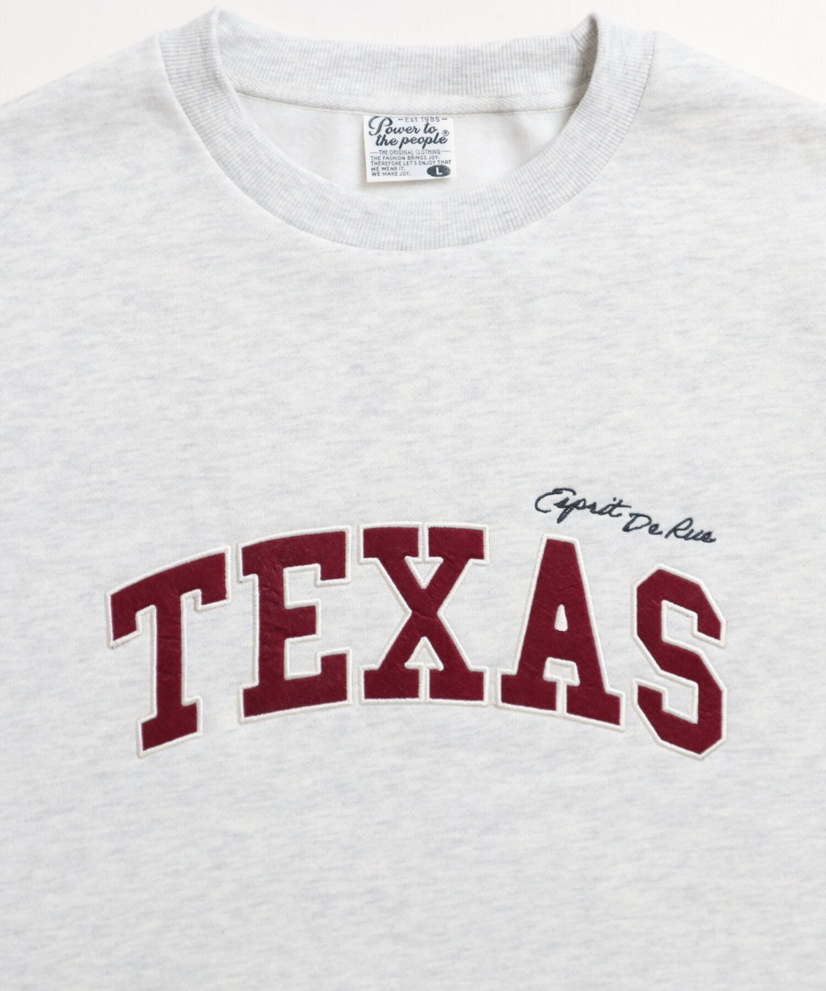 【裏起毛】袖刺繍カレッジロゴスウェット