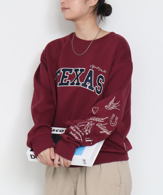 【裏起毛】袖刺繍カレッジロゴスウェット