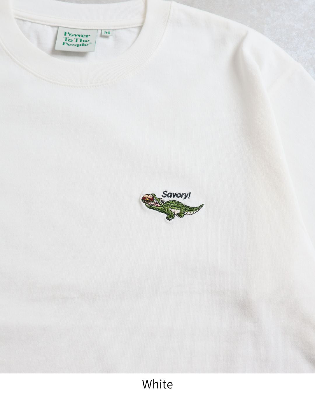 恐竜ワンポイントTシャツ