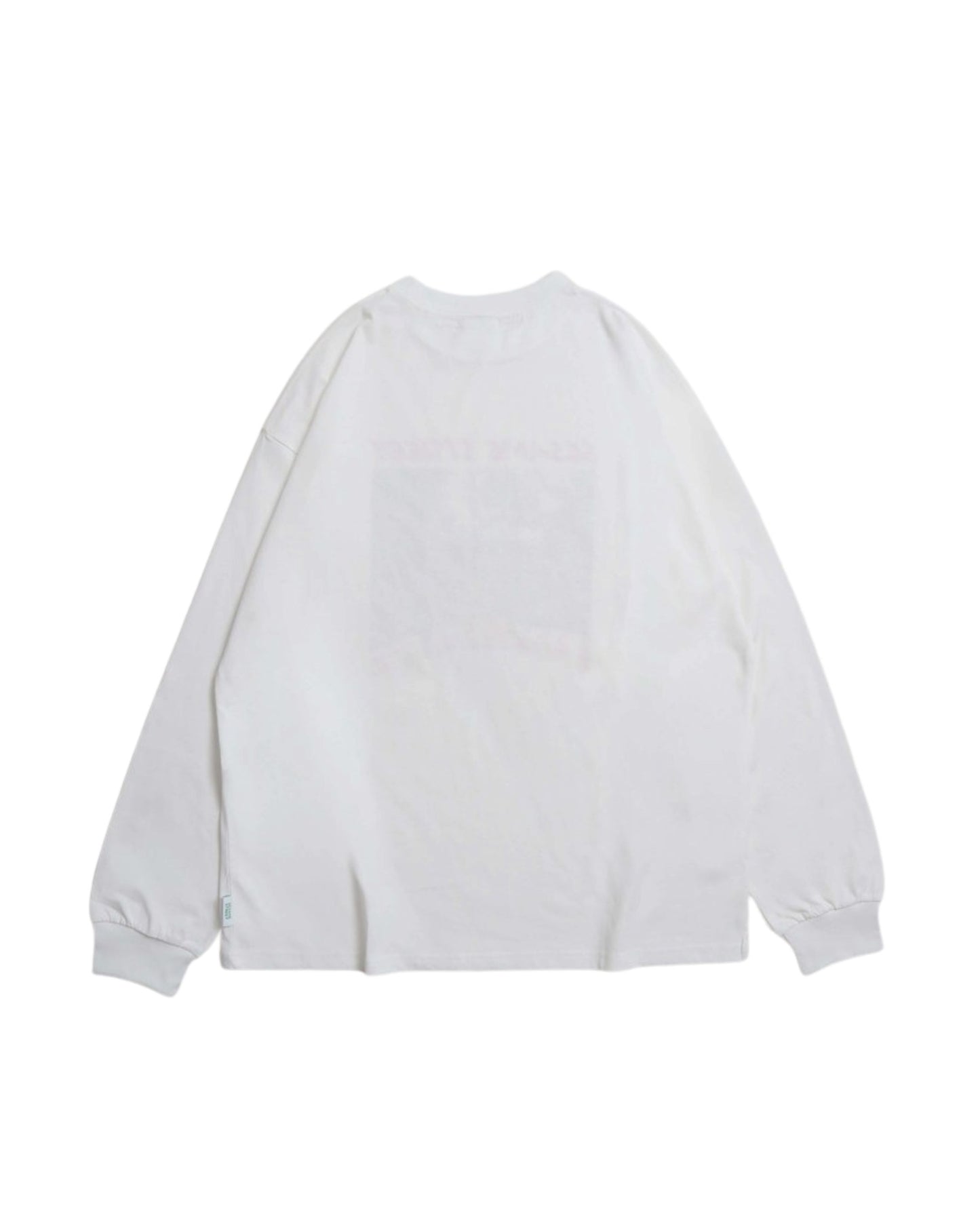 【セサミストリート】フォトプリントロンT
